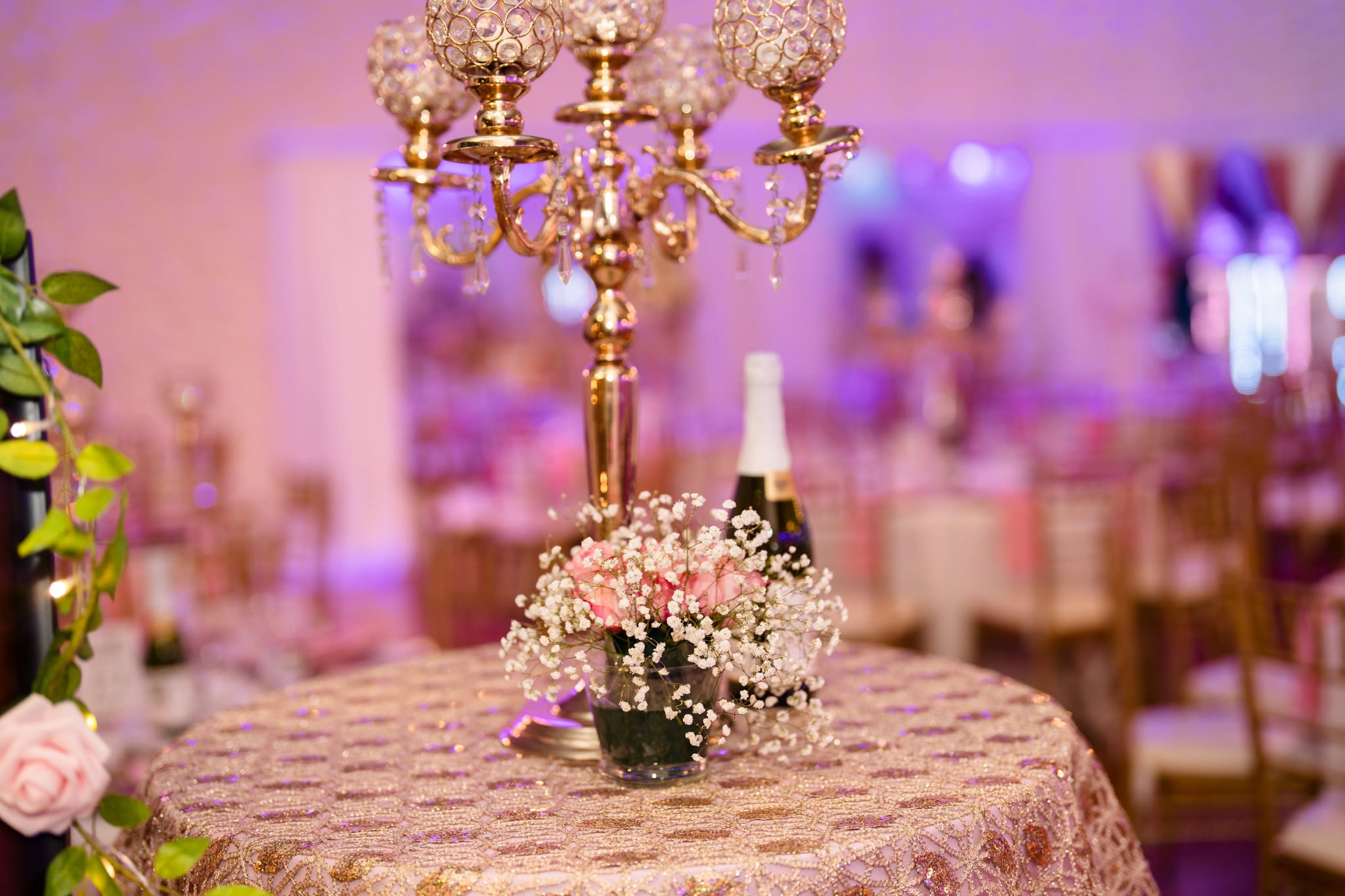 Wedding Hall SD